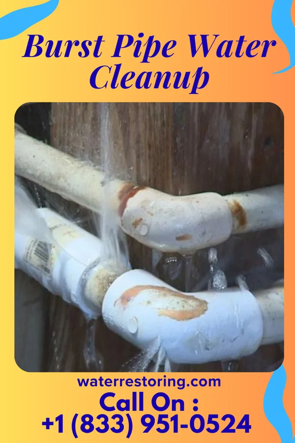 Burst Pipe Water Cleanup in Hannibal, MO