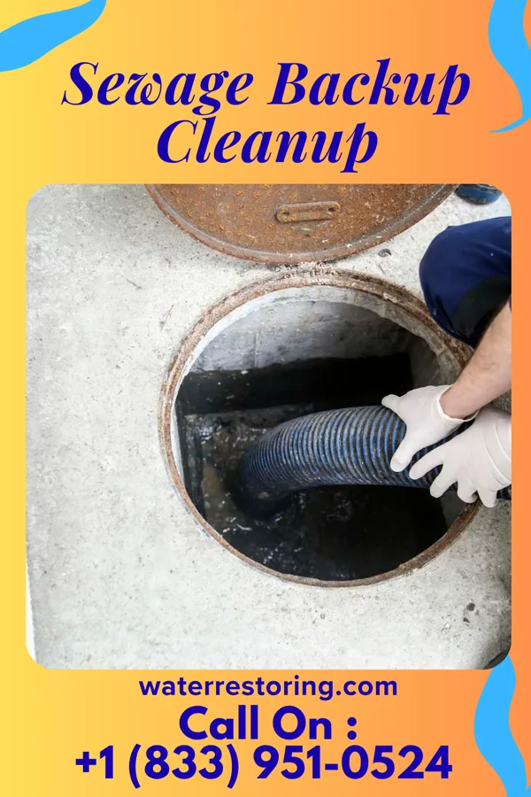 Sewage Backup Cleanup in Hannibal, MO